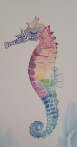 seahorse jay