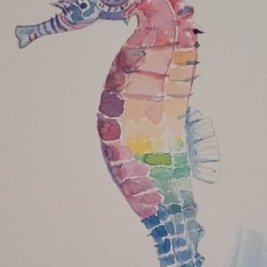 seahorse jay