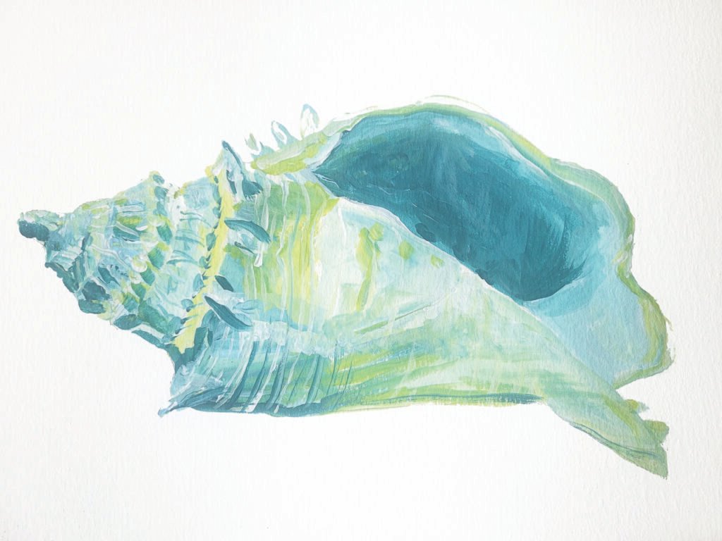 Conch Shell