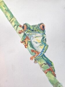 tree frog jay