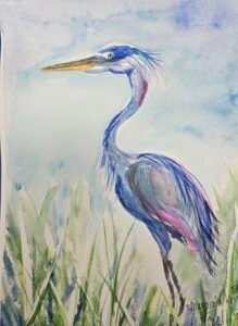 Blue heron 1