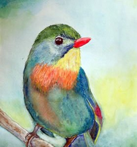 Tree Bird