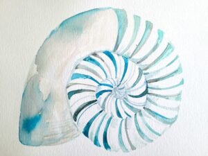 Nautilus blue