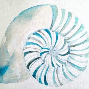 Nautilus blue