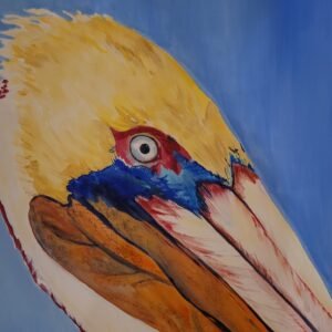 Pelican head