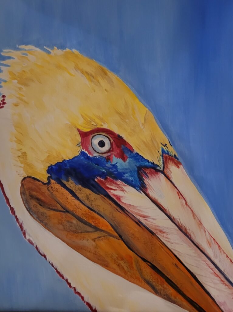 Pelican head