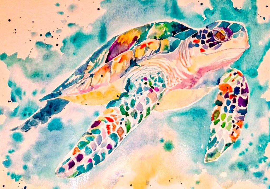 sea turtle jay