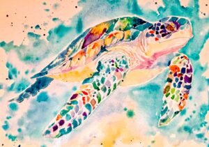 sea turtle jay
