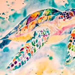 sea turtle jay