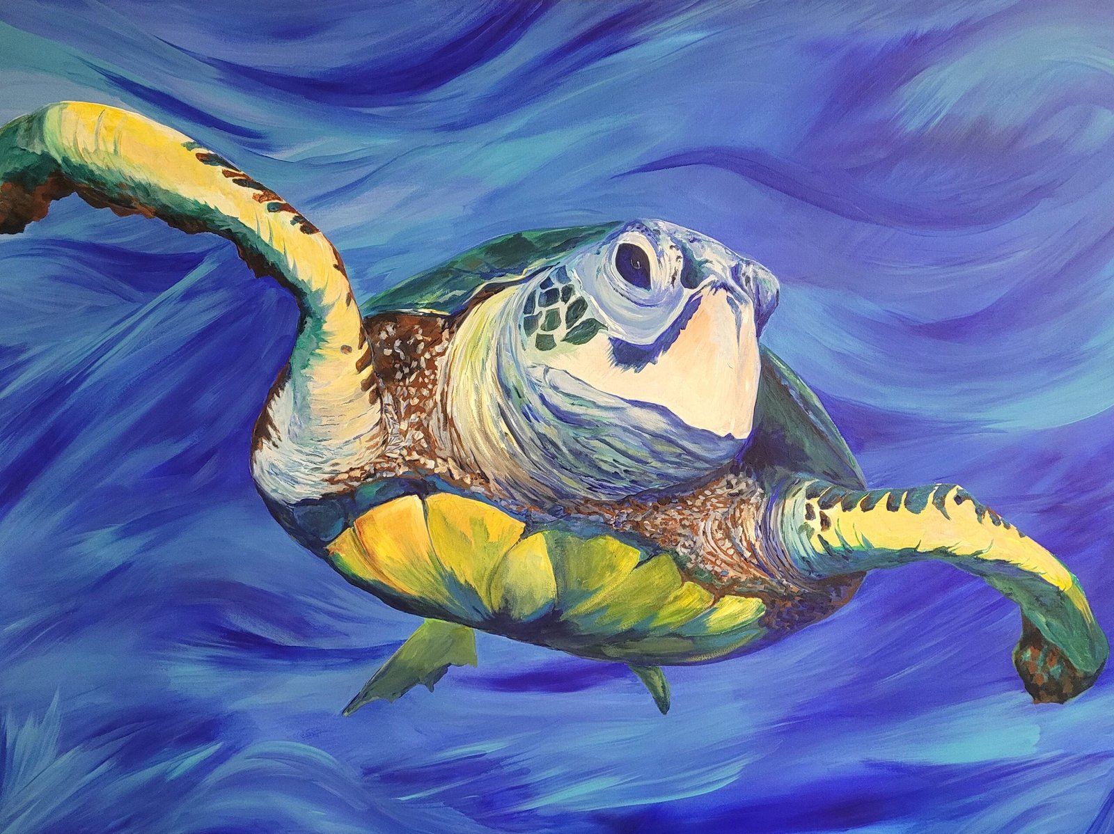 Dude, Sea Turtle